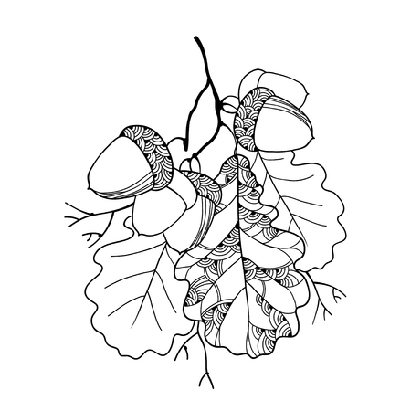 華やかなオークの葉と白で隔離 5 どんぐりベクトル支店 アウトラインのオークの葉と 9 月の装飾のためのドングリと幹します 秋デザインと塗り絵の輪郭のスタイルの花の要素 のイラスト素材 ベクタ Image 華やかなオークの葉と白で隔離 5 どんぐりベクトル支店 アウトラインのオークの葉と 9 月の装飾のためのドングリと幹します 秋デザインと塗り絵の輪郭のスタイルの花の要素 のイラスト素材 ベクタ Image