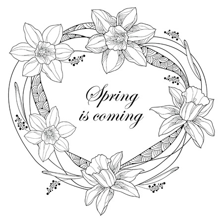 黒が白で隔離の概要水仙や水仙花とベクトル ブーケ 春のデザイン グリーティング カード 塗り絵の華やかな花の要素です 等高線スタイルに水仙花の束 の イラスト素材 ベクタ Image 黒が白で隔離の概要水仙や水仙花とベクトル ブーケ 春のデザイン グリーティング カード 塗り絵の華やかな花の要素です 等高線スタイルに水仙花の束 の イラスト素材 ベクタ Image