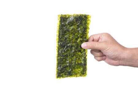 hand holding nori sheet of dried seaweed a healthy snack on nori sheet