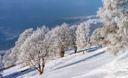 青い空を背景に美しい白い凍結の木 絵のような豪華な冬景色 アルザス フランス の写真素材 画像素材 Image 青い空を背景に美しい白い凍結の木 絵のような豪華な冬景色 アルザス フランス の写真素材 画像素材 Image