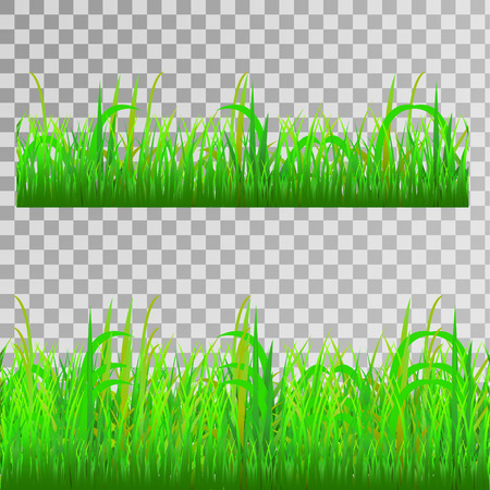 green grass seamless texture on transparent background vector