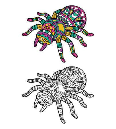 かわいいクモ 子供はまたは抗ストレス塗り絵大人かわいい華やかな Zentangle クモのベクトル イラスト のイラスト素材 ベクタ Image かわいいクモ 子供はまたは抗ストレス塗り絵大人かわいい華やかな Zentangle クモのベクトル イラスト のイラスト素材 ベクタ Image