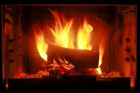 Fireplace With Wood And Fire Resistant Glass Doors Stock Photo Picture And Royalty Free Image. Image 15313964.