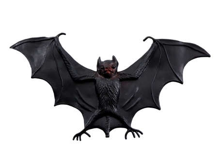 halloween bat stock images royalty