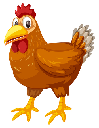 A chicken on white background illustration