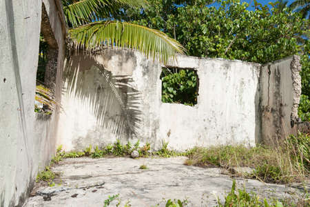 Only two and bit walls remaining as this old home is slowly being taken over by the trees and weeds. Stock Photo - 79491060