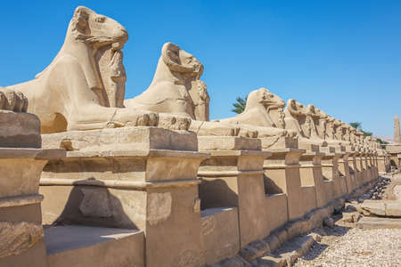 Looking down at the avenue of the sphinxes from the temple of karnak