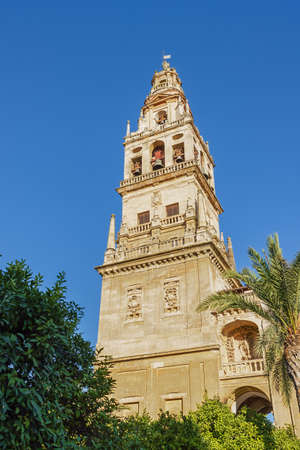 The bell tower of cordoba's cathedral, seen from the garden in front of the building