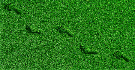緑の芝生の草の上の足跡 写真素材 - 28463142 緑の芝生の草の上の足跡 写真素材 - 28463142