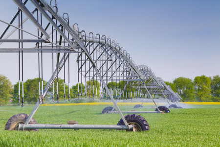 Modern agricultural irrigation system spraying in wheat field Фото со стока
