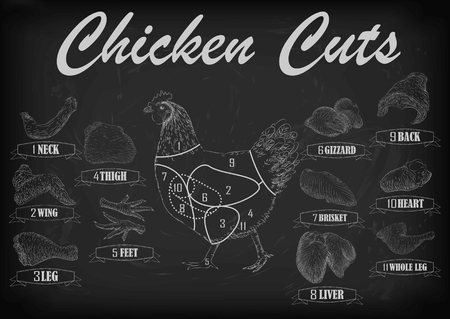 ベクトルの鶏の卵 脚の刈り取らもも肉と砂肝の内臓スケッチ漫画セット 白い背景に分離の図 のイラスト素材 ベクタ Image ベクトルの鶏の卵 脚の刈り取らもも肉と砂肝の内臓スケッチ漫画セット 白い背景に分離の図 のイラスト素材 ベクタ Image