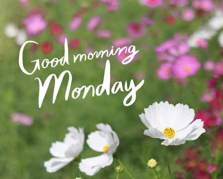 Inspirational Quote Good Morning Monday On Flowers Background With Vintage Filter Stock Photo Picture And Royalty Free Image Image 97225208