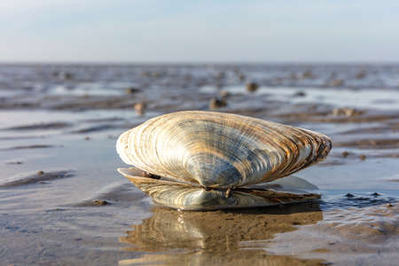 247 954 底 の写真素材 ストックフォト 123rf 247 954 底 の写真素材 ストックフォト 123rf