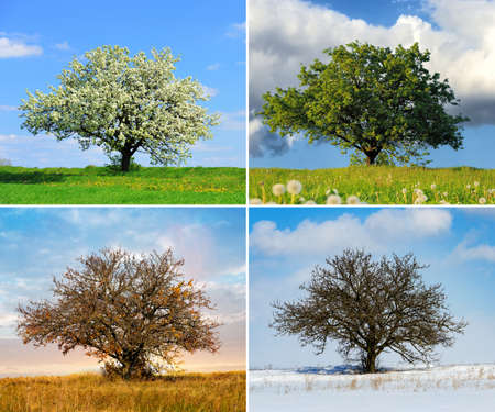 nature four