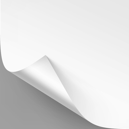 Vector curled corner of white paper with shadow mock up close up isolated on gray background