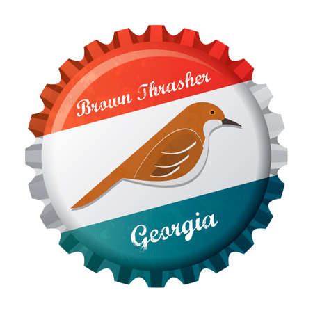 Brown thrasher