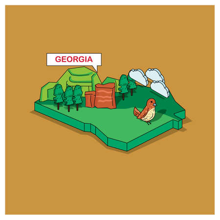 georgia state