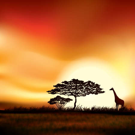 Tło natura