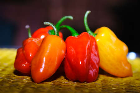 唐辛子赤オレンジ黄色辛いスパイス 野菜 食品野菜植物食糧の色自然調味料コショウ唐辛子唐辛子グループ唐辛子のベーキング成分の野菜クローズ アップ グループ の写真素材 画像素材 Image 唐辛子赤オレンジ黄色辛いスパイス 野菜 食品野菜植物食糧の色自然調味料コショウ唐辛子唐辛子グループ唐辛子のベーキング成分の野菜クローズ アップ グループ の写真素材 画像素材 Image