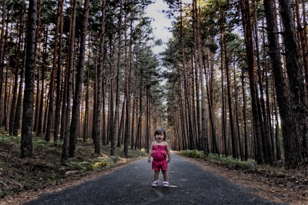 女の子はやるせなくて森の恐怖の叫びで失われました の写真素材 画像素材 Image 女の子はやるせなくて森の恐怖の叫びで失われました の写真素材 画像素材 Image