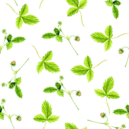 イチゴの葉 花 水彩で描く 赤い果実と紅茶のカップとのシームレスなパターン手描き下ろしイラスト の写真素材 画像素材 Image イチゴの葉 花 水彩で描く 赤い果実と紅茶のカップとのシームレスなパターン手描き下ろしイラスト の写真素材 画像素材 Image