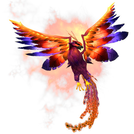 pheonix bird pictures