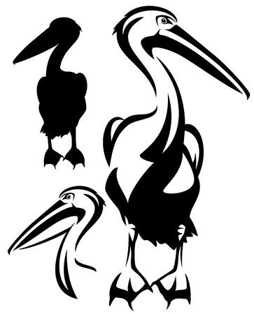 pelican bird black and white outline - vector collection of bird head design and silhouette - 29291902