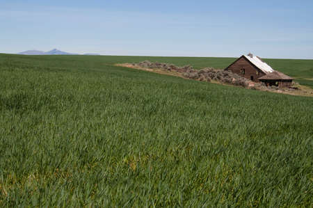 放棄された農場の家 農村部のアメリカ合衆国での駐車場 の写真素材 画像素材 Image 放棄された農場の家 農村部のアメリカ合衆国での駐車場 の写真素材 画像素材 Image
