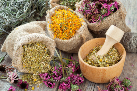 Healing herbs in hessian bags, wooden mortar with chamomile on rustic table, herbal medicine.