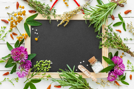 Empty blackboard, border from healing herbs, bottle of homeopathic globules. Top view, flat lay. Фото со стока