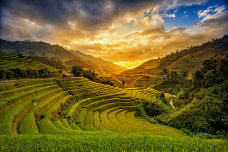 The landscape of Saigon: Ruộng lúa trên sân thượng trong mùa mưa ở Mù Cang Chải, Yên Bái, Việt Nam. Ruộng lúa chuẩn bị cho việc cấy ghép ở Tây Bắc Việt Nam