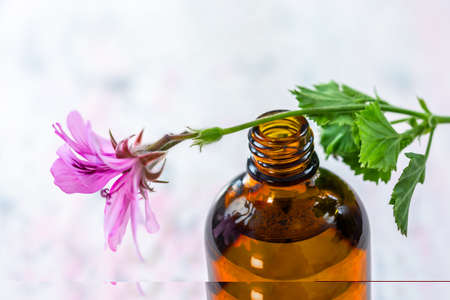 Ekstrakt olejku eterycznego z geranium, napar, lekarstwo, pojemnik na nalewki na drewnianym tle