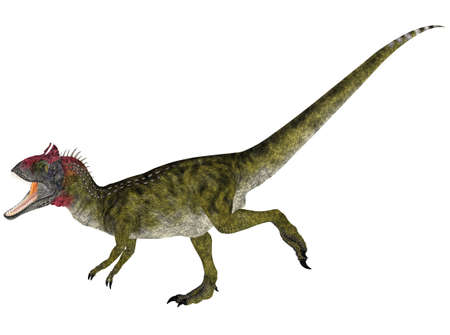 illustratie van een tarbosaurus dinosaurus soorten geïsoleerd op een