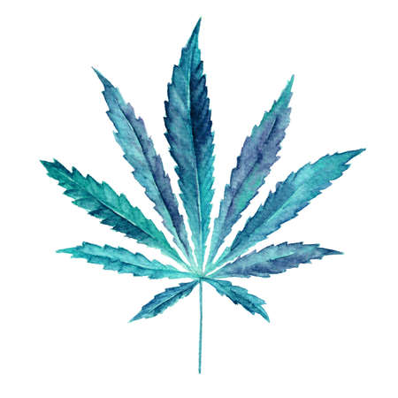 白い背景のマリファナ大麻葉 明るい大麻イネ葉を水彩で描いた 植物のリアルなイラストです 手描きマリファナのイラストが白い背景に分離されました の写真素材 画像素材 Image