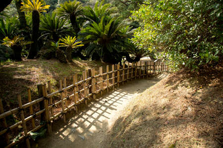 栗林公園栗園竹のフェンスの間の砂利の小道 の写真素材 画像素材 Image