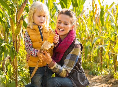 portrait of mother and child shucking corn in cornfield stock photo