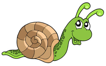 Cute snail on white background - vector illustration. Иллюстрация