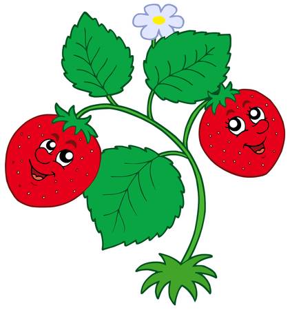 Cute strawberry on white background - vector illustration. Stock Photo