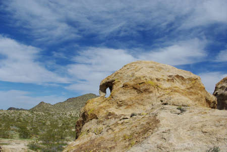 Nevada SKULL HEAD Near Christmas Tree Pass Laughlin Stock Photo Nevada SKULL HEAD Near Christmas Tree Pass Laughlin Stock Photo