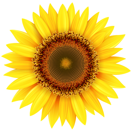 Free Free 308 Printable Simple Sunflower Clipart SVG PNG EPS DXF File