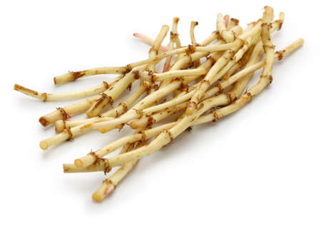 Zhe'ergen, 생선 민트 뿌리, 귀주 요리 재료