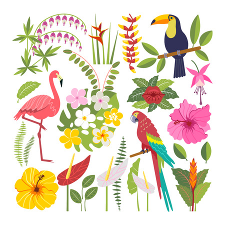 Conjunto de 4-aves tropicales Coaster-Loro Flores selva Fresco Regalo de verano #15793