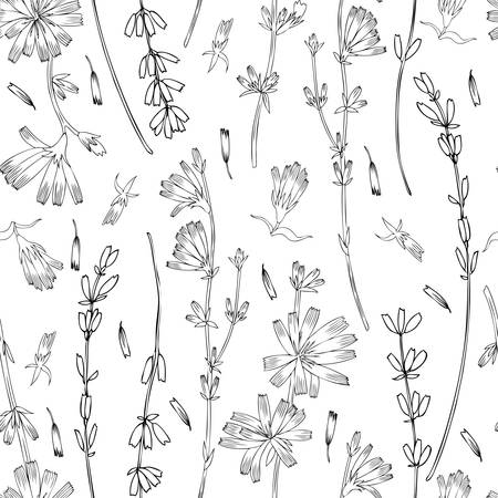 チコリの花の手には カラフルな図が描画されます のイラスト素材 ベクタ Image