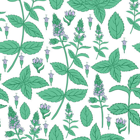 ミントの葉 白い背景で隔離のペパーミント芽手描画ベクトル花のシルエット スパイシーなキッチン緑ハーブ 落書きデザイン パッケージ ハーブティー 化粧品 医療用食材 のイラスト素材 ベクタ Image ミントの葉 白い背景で隔離のペパーミント芽手描画ベクトル花のシルエット スパイシーなキッチン緑ハーブ 落書きデザイン パッケージ ハーブティー 化粧品 医療用食材 のイラスト素材 ベクタ Image