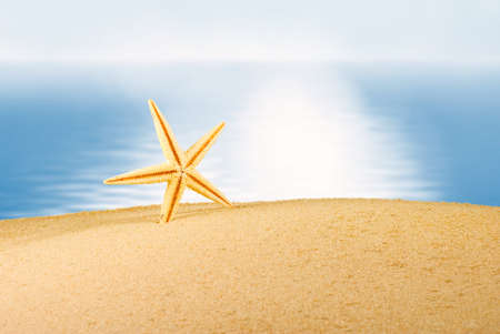 海に対する砂浜の貝殻のイメージ 海で浜辺で貝のイメージ 休日 観光 バカンスのシンボルとしてシェル の写真素材 画像素材 Image 海に対する砂浜の貝殻のイメージ 海で浜辺で貝のイメージ 休日 観光 バカンスのシンボルとしてシェル の写真素材 画像素材 Image