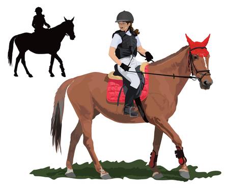 Brown Race Horse And Lady Jockey In Uniform Detailed Color Illustration