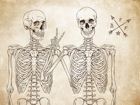 手には カラフルな背景に Skeletone 骨手重金属が描画されます ベクトル図のイラスト素材 ベクタ Image 手には カラフルな背景に Skeletone 骨手重金属が描画されます ベクトル図のイラスト素材 ベクタ Image