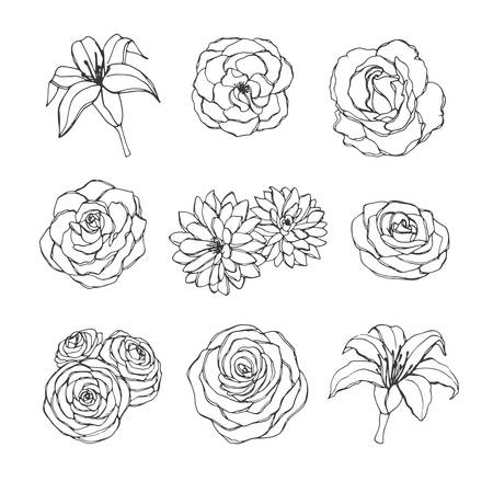 43,535 Simple Flower Outline Stock Vector Illustration and Royalty Free Simple  Flower Outline Clipart