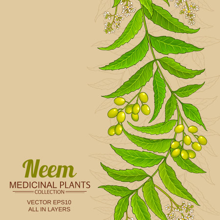 neem vector background