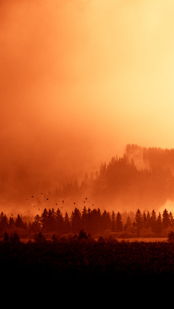 タトリ スロバキアで 感激の山の風景 赤いトーンの視点で鮮やかな グラデーションの風景 山の夏 明るい色で自然の壁紙 スマート フォン用の美しい縦壁紙 携帯電話の使用のための垂直方向の画像 の写真素材 画像素材 Image タトリ スロバキアで 感激の山の風景 赤いトーンの視点で鮮やかな グラデーションの風景 山の夏 明るい色で自然の壁紙 スマート フォン用の美しい縦壁紙 携帯電話の使用のための垂直方向の画像 の写真素材 画像素材 Image